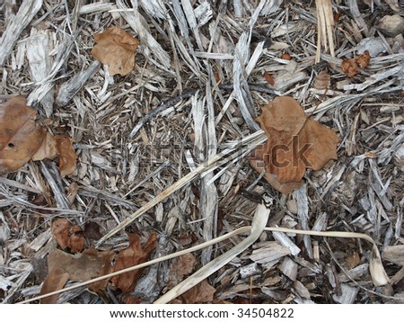 Old mulch with brown leafs