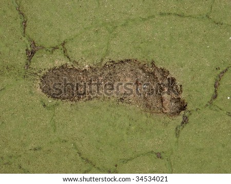 Human footprint on green. Could be used for carbon footprint concept.