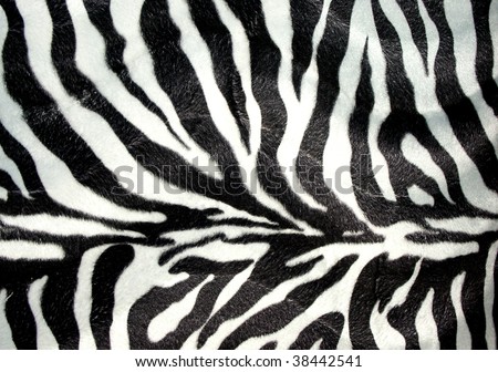 stock photo Zebra print for background