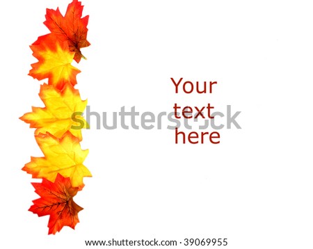 leafs border