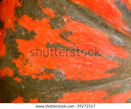 Pumpkin skin detail