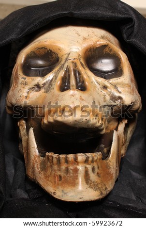 stock photo Scary skull