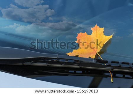 Autumn Leaf On A Car Windshield
