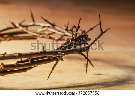 Crown of thorns. Christian concept of suffering.