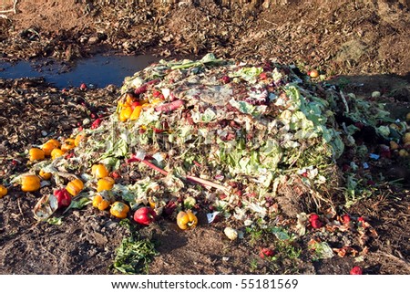 food waste shutterstock search