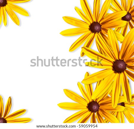 Frame of yellow flowers