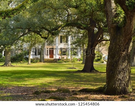 Villa at Audubon Park in New Orleans