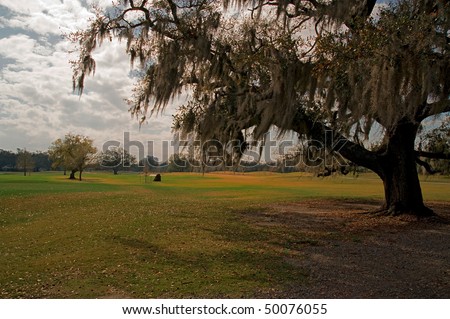 Audubon Park in New Orleans, in forground oak tree draped with spanish moss