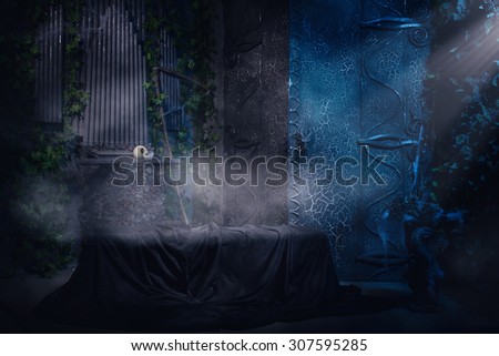 Gothic tomb. Dark mystery scene
