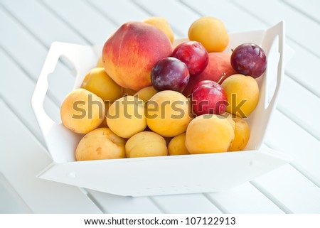 Summer fruits collection: peach, apricots, plums and figs isolated on white