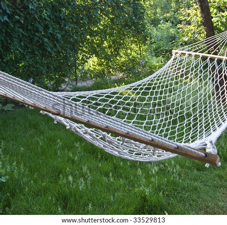 Hammock Grass