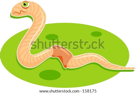 labeled earthworm diagram. labeled earthworm diagram.