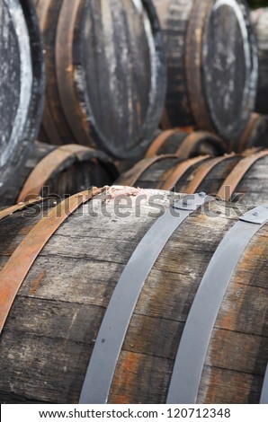 Oak port wine barrels in a row