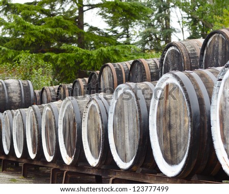 Oak port wine barrels stacked in a row