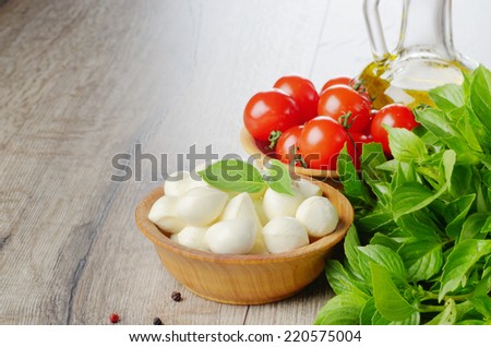Mozzarella cheese, cherry tomatoes, basil leaves and olive oil - caprese salad ingredients