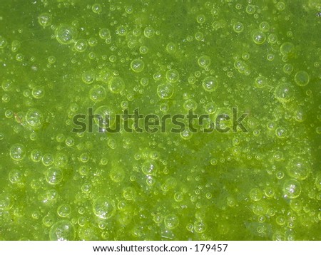 Green goo\texture