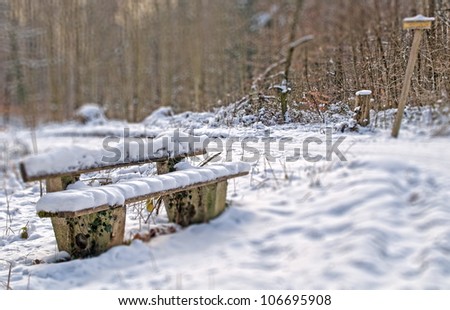 Bench in black forest,Germany