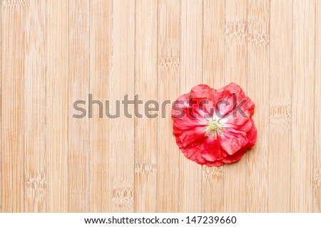 red blossom on bamboo floor