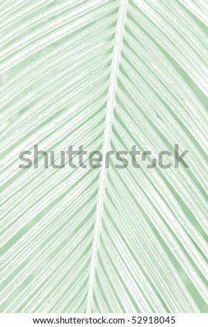 Palm leaf - drawing stile
