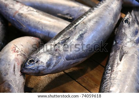 athens fish