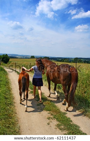 horse and foal with girl walking on the field road