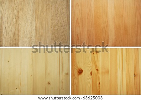 oak beech spruce and pine wood samples