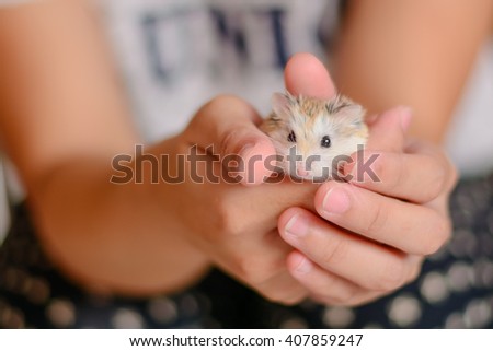 Hamster hold hands girl held stance that it will deliver to the people who want to feed the Hamster