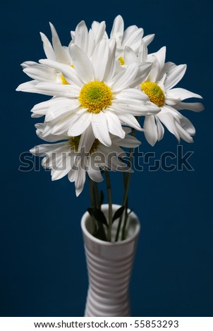 coloring pages of flowers in vase. coloring pages of flowers in vase. Flowers In Vase Images. daisy flowers in vase; Flowers In Vase Images. daisy flowers in vase on; daisy flowers in vase on