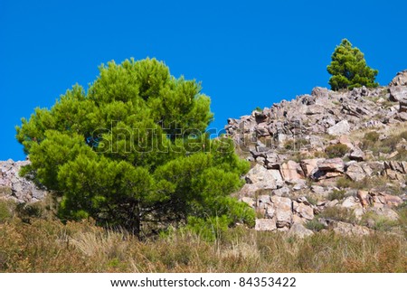 Beautiful rocky landscape of hill with trees and blue sky in Sierra de la Ventana, Argentina