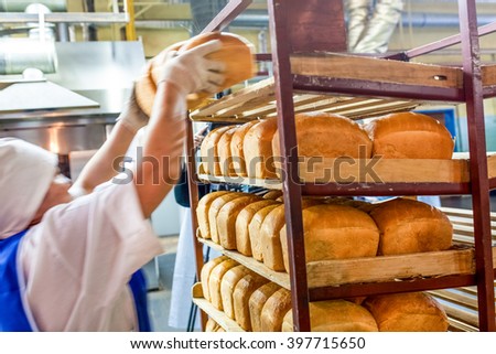 factory worker puts bread on the shelves
