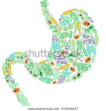 Stomach shaped out of bacteria