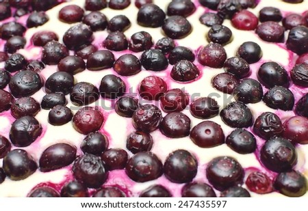 Surface of the blueberry cheese pie. Abstract background.