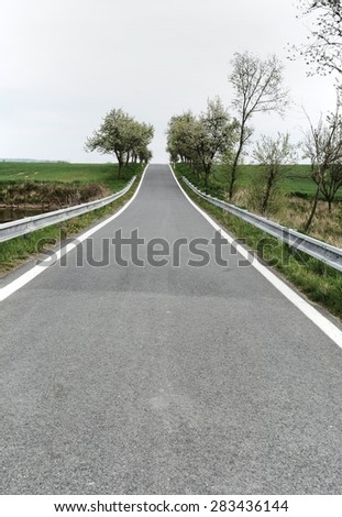 View of the deep straight country road with trees.