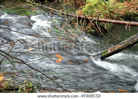 Dirty stream in the deep forest.
