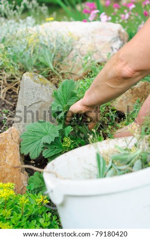 Garden work with flower and weed.