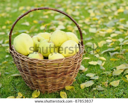 Green Wicker Basket