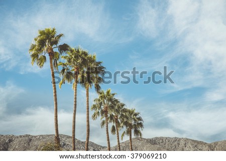Palm Springs Vintage Movie Colony Palm Trees and Mountains
 Vintage style image meant to portray the re-birth of Palm Springs and it's modernism and style.