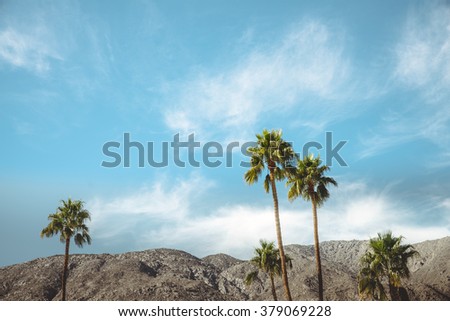 Palm Springs Vintage Movie Colony Palm Trees and Mountains 
Vintage style image meant to portray the re-birth of Palm Springs and it's modernism and style.