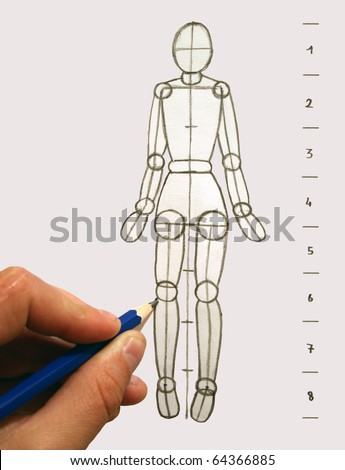 proportions of body. stock photo : Proportions of the ody