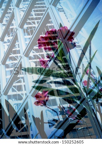 Double Exposure contrasting modern building and nature