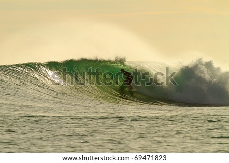 Extreme surfer on perfect golden wave