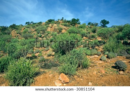 Semi-desert landscape, Western Sahara