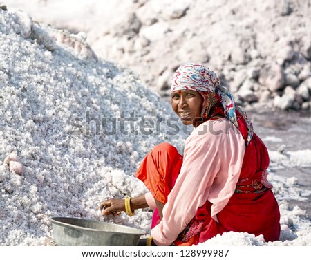 SAMBHAR, INDIA - NOVEMBER 19: An unidentified Indian woman working on the salt farm, November 19, 2012 in Sambhar salt lake, Rajasthan, India
