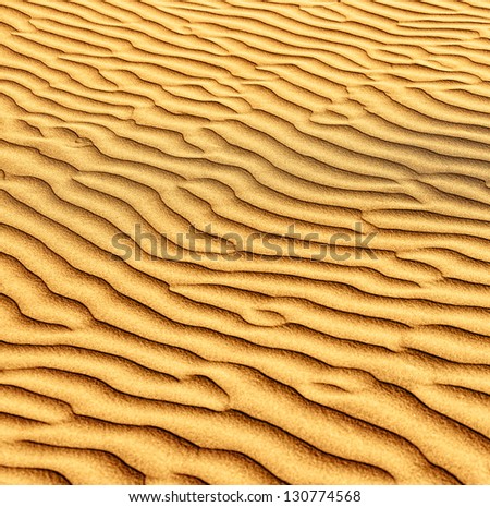 Sand and dunes of the Thar Desert. Background. Rajasthan, India, Asia