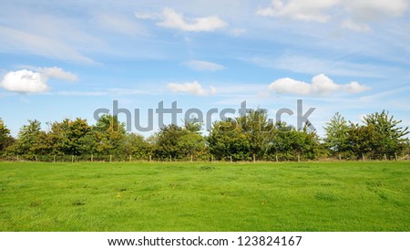 Farm Landscape of a Green Field and Blue Cloudy Sky Above