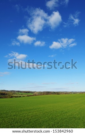 Picturesque Springtime View of a Green Farmland Field with a Blue Sky Above