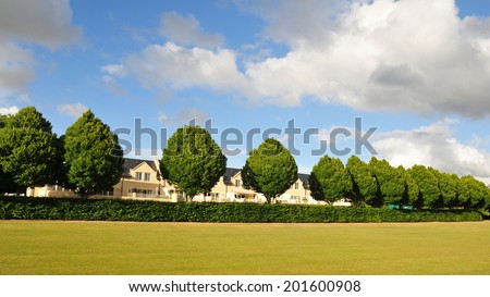 Landscape View a Lawn, Tree Row and Hedge in a Beautiful City Park