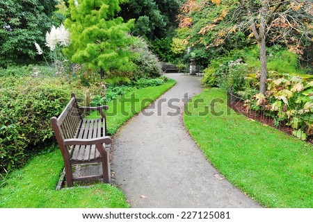 Winding Path and Wooden Bench in a Beautiful Park