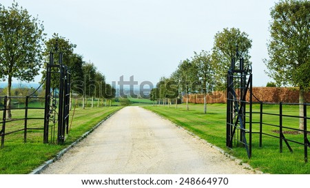 Scenic View of a Tree Lined Driveway through a Beautiful English Country Estate