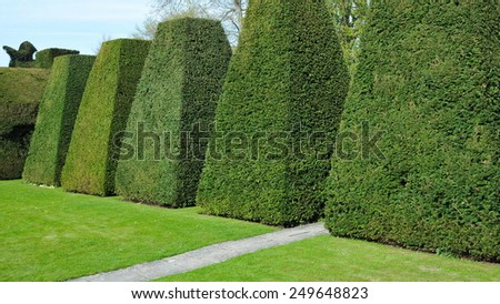 Scenic View of Topiary in a Peaceful Green Garden